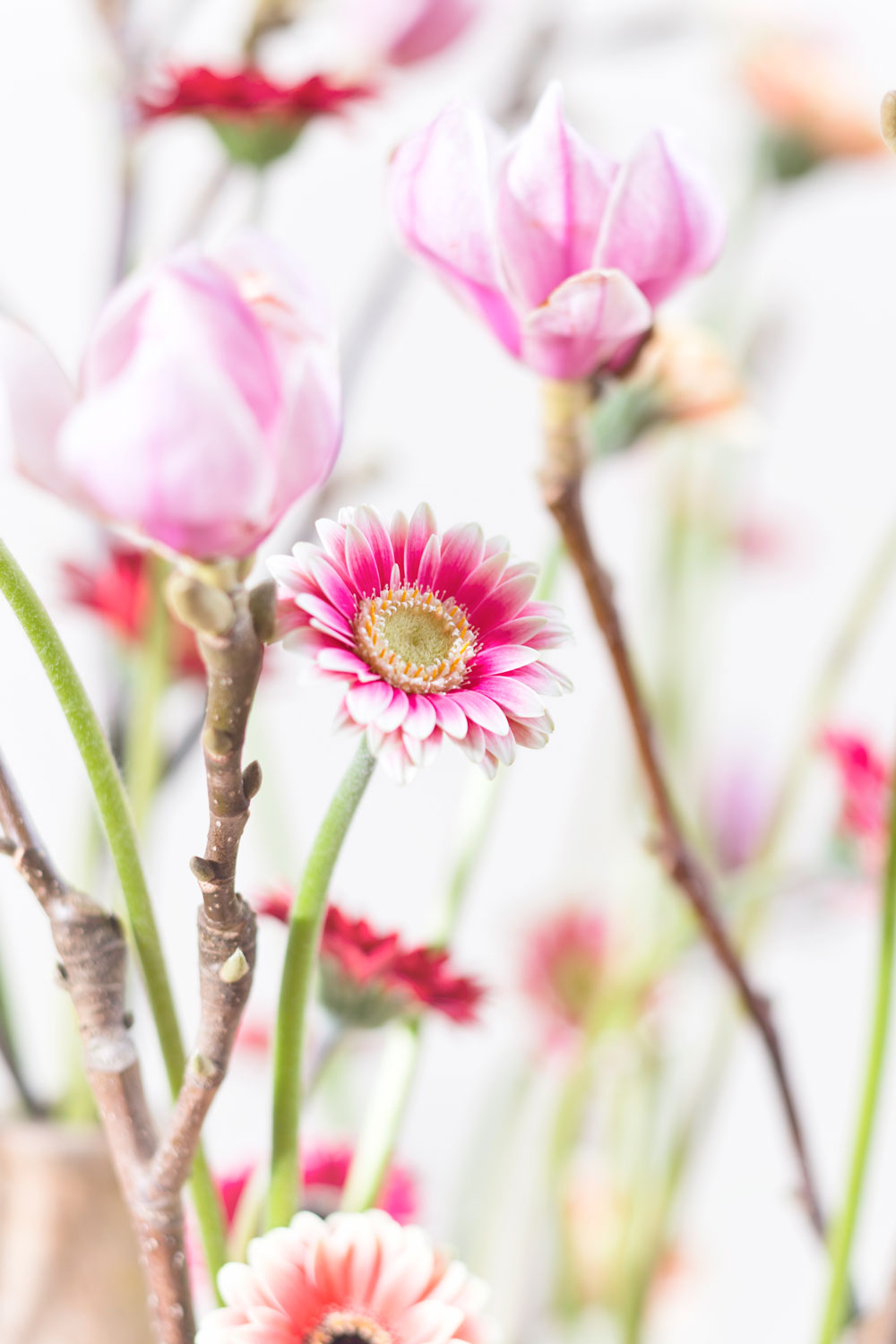 smell the spring - Florist